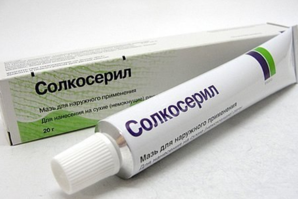 Черновик Черновик