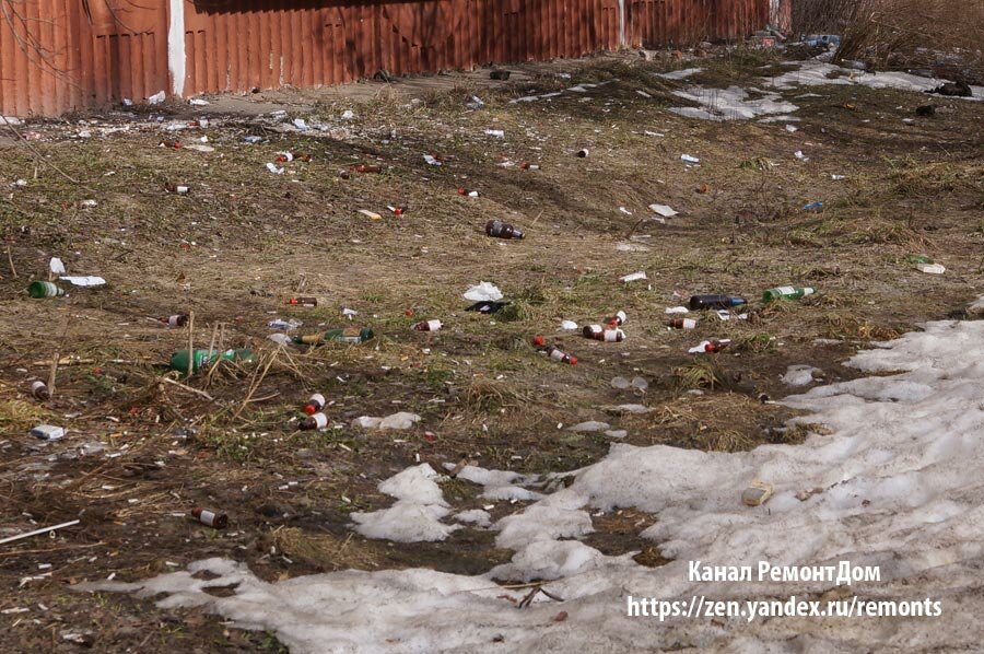 Соседи по даче сваливают мусор под наш забор, в лес. Умный прибор, который разрешил проблему