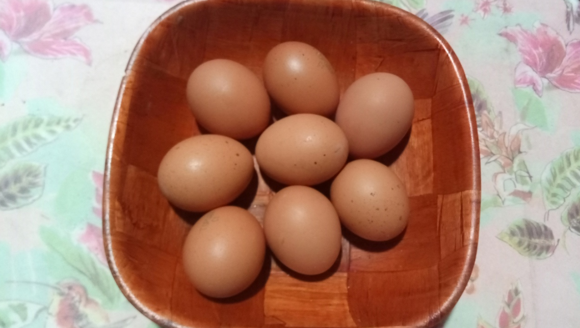 Кормлю кур чесноком, луком, свёклой, хвоёй и перцем: птица не болеет и хорошо несёт яйца зимой