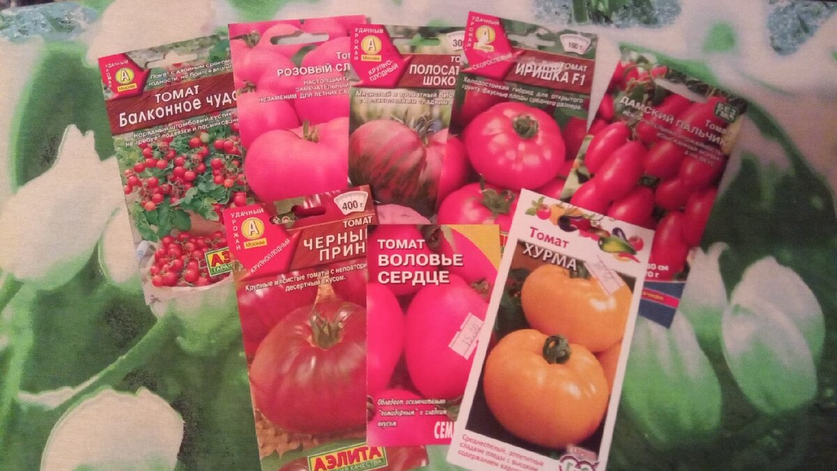 4 вкусных сорта помидоров, которые подойдут для открытого грунта: выбираем томаты на 2021 год