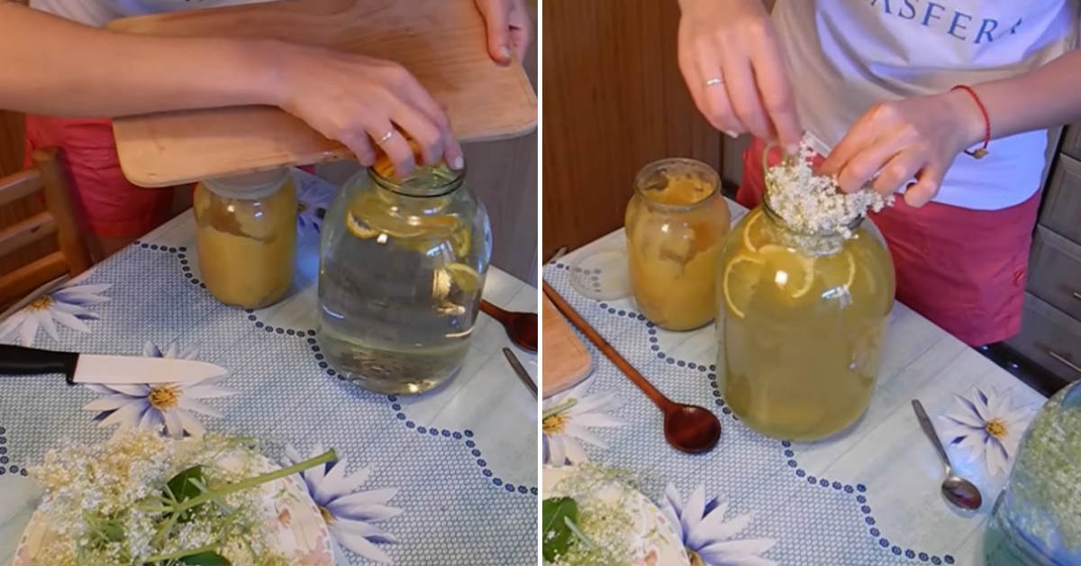 Домашний лимонад из бузины: с пузырьками и приятным цветом